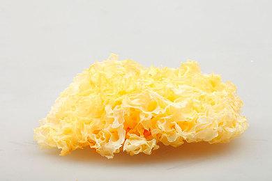 互动小说《猫与其他生命》Steam确认支持中文